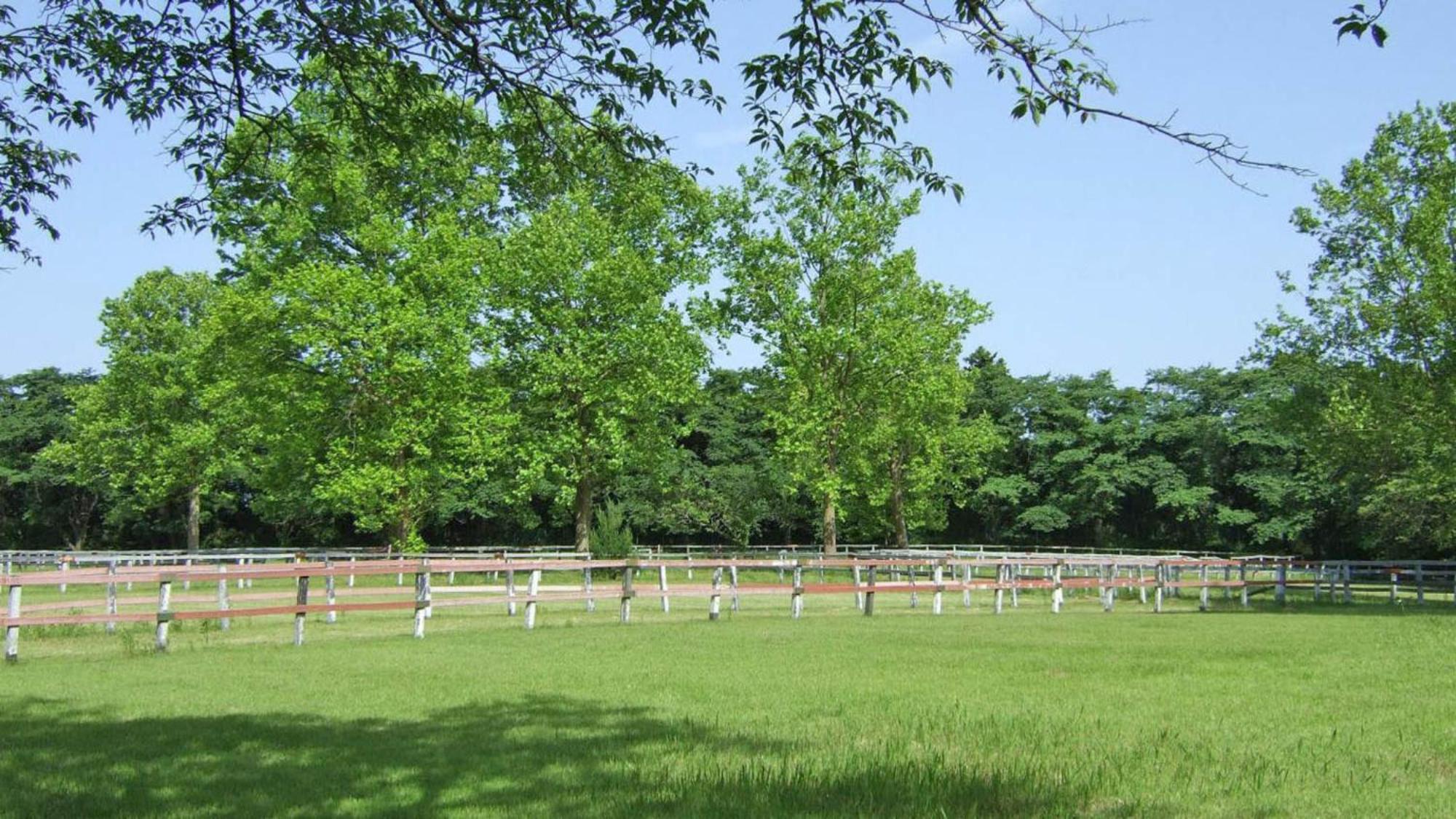 Toyoko Inn Imba Nihon-Idai Ekimae Inzai Екстер'єр фото